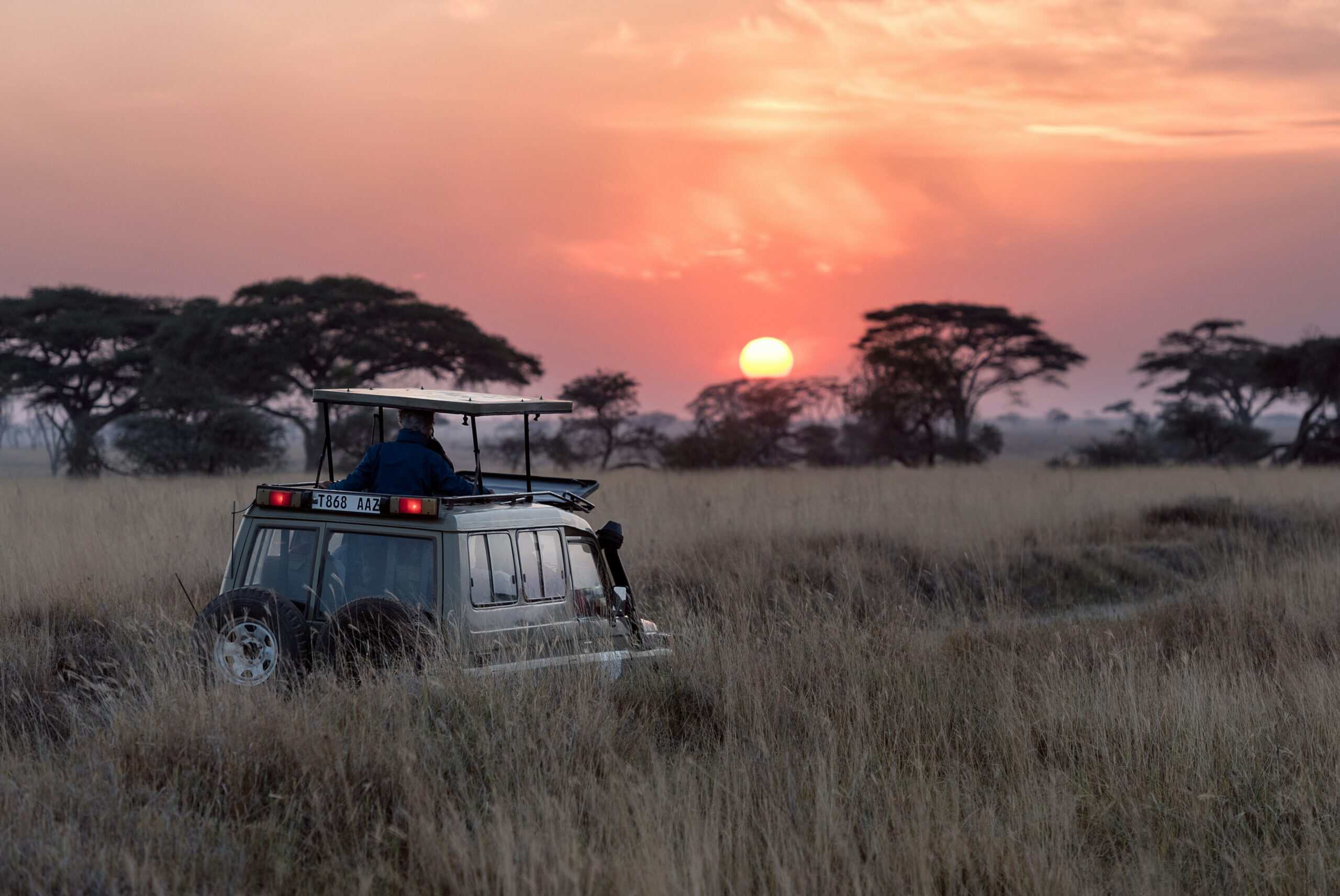Safari al tramonto in Tanzania Veicolo safari in savana africana al tramonto, paesaggio naturale.