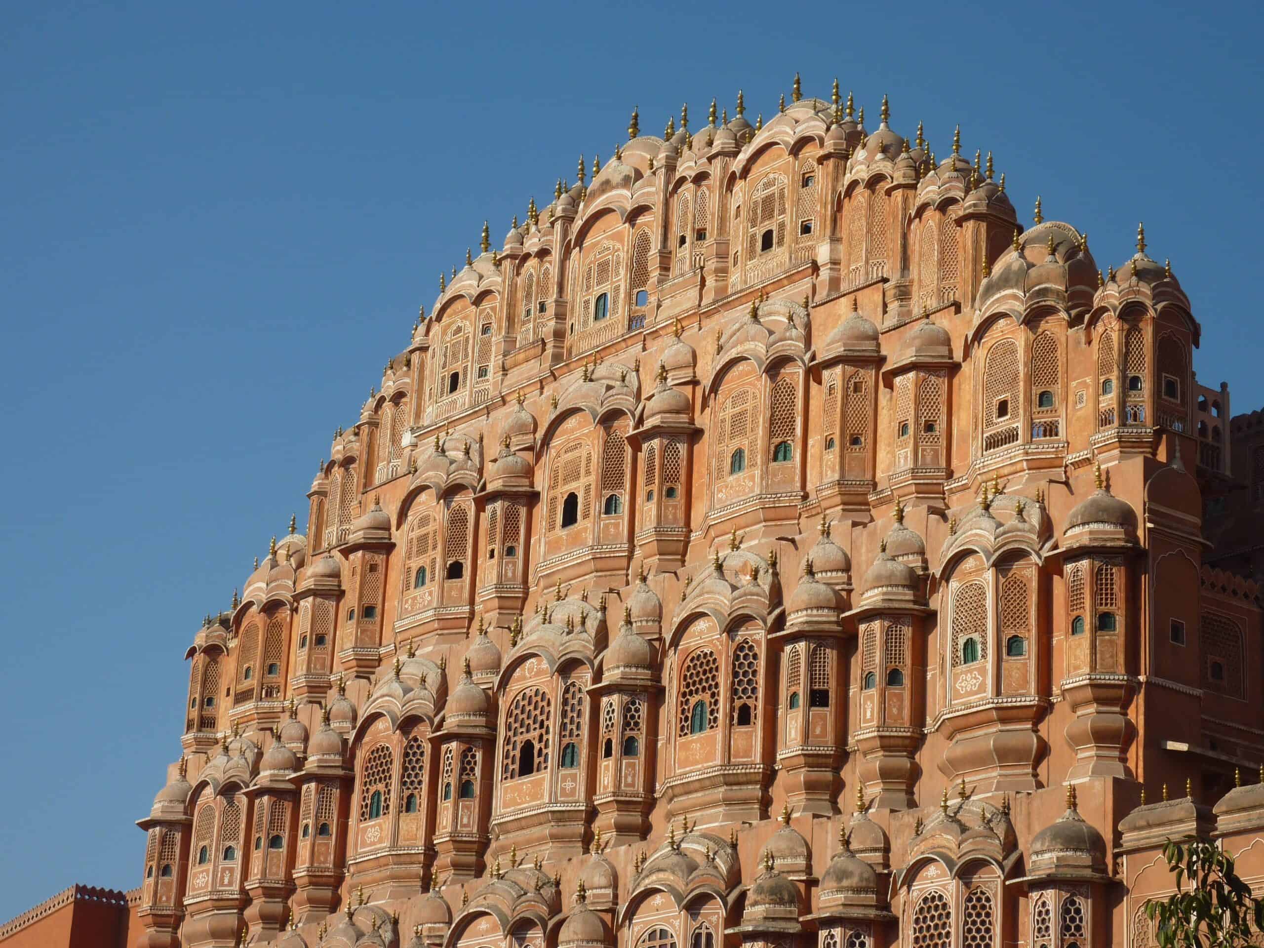 Palazzo Dei Venti Jaipur Gorilla di montagna tra la vegetazione lussureggiante in Uganda.