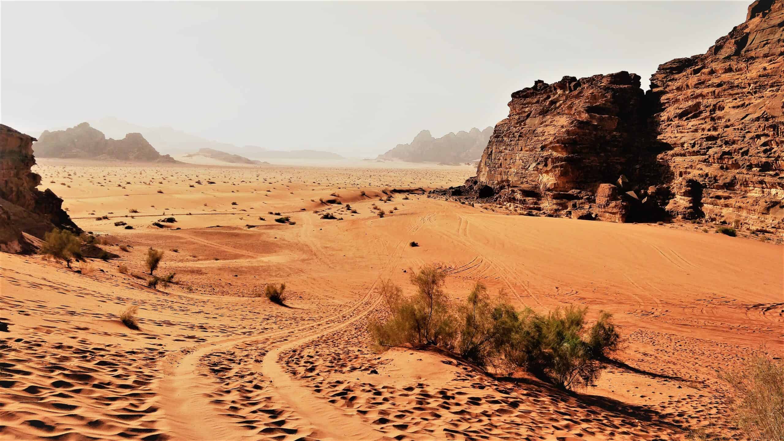 Wadirum Petra Amman Veicolo safari in savana africana al tramonto, paesaggio naturale.